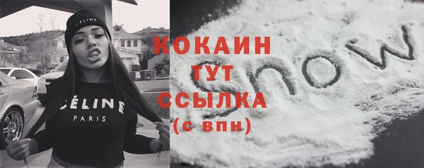 молекула духа Белокуриха