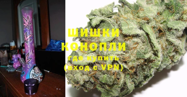 молекула духа Белокуриха