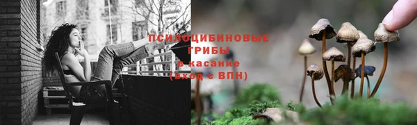 ГАЛЛЮЦИНОГЕННЫЕ ГРИБЫ Баксан