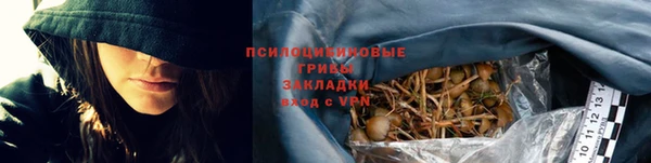 молекула духа Белокуриха